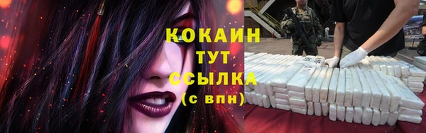 мдма Елизово