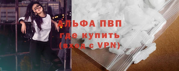 молекула духа Елабуга