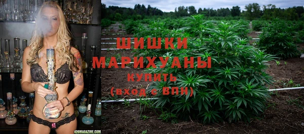 молекула духа Елабуга
