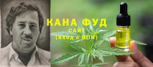молекула духа Елабуга