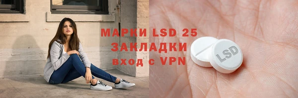 молекула духа Елабуга