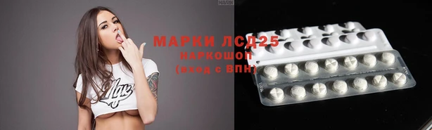 молекула духа Елабуга