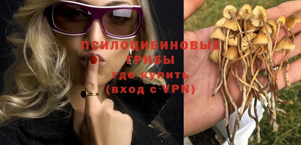 МДМА Дмитриев