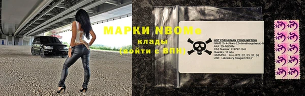 молекула духа Елабуга