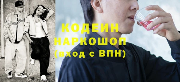 молекула духа Елабуга