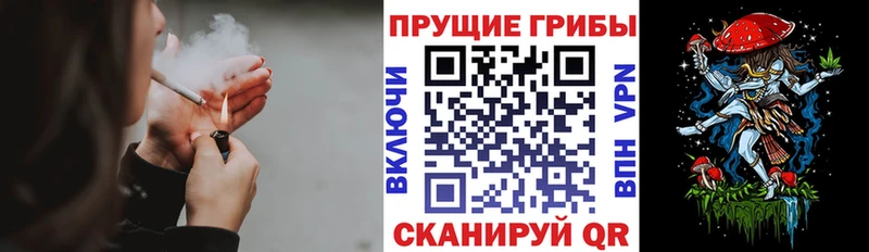 Купить  Мышкин  Псилоцибиновые грибы Psilocybine cubensis 